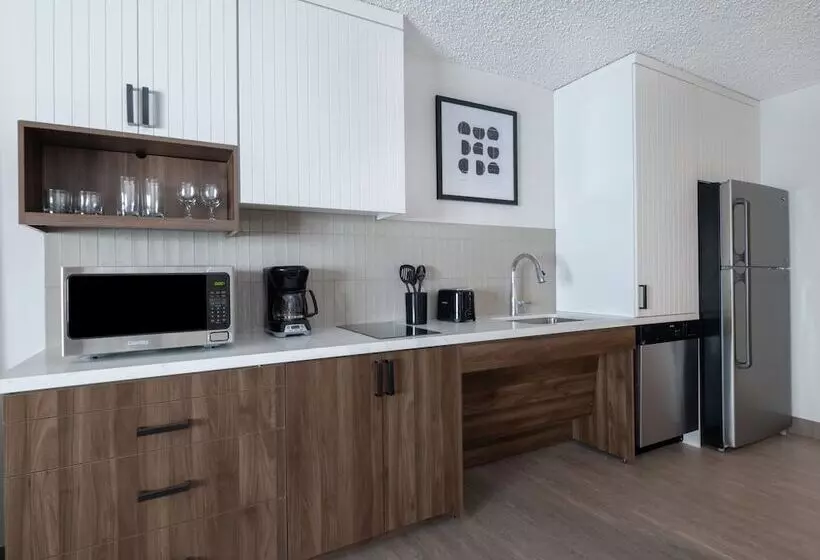 فندق Staybridge Suites Chicago O Hare   Rosemont, An Ihg