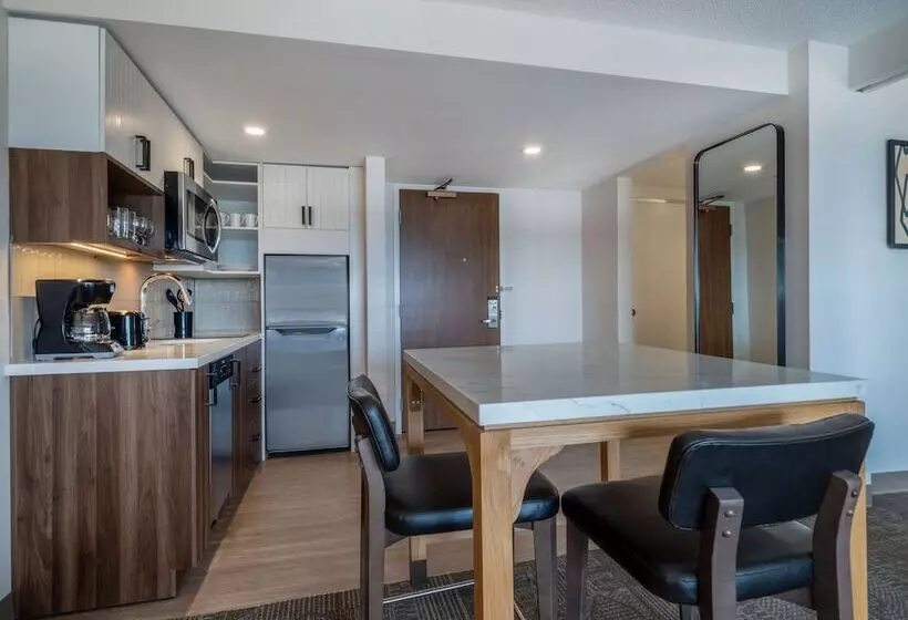 فندق Staybridge Suites Chicago O Hare   Rosemont, An Ihg