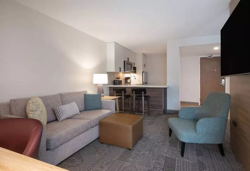 فندق Staybridge Suites Chicago O Hare   Rosemont, An Ihg