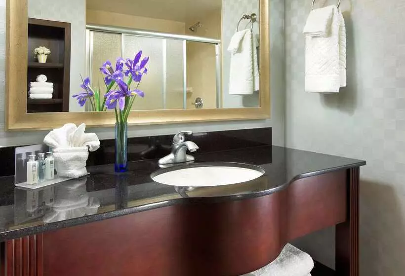 ホテル Hampton Inn San Diego/mission Valley