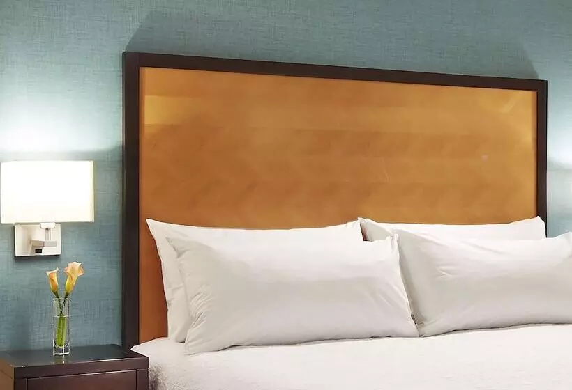 ホテル Hampton Inn San Diego/mission Valley