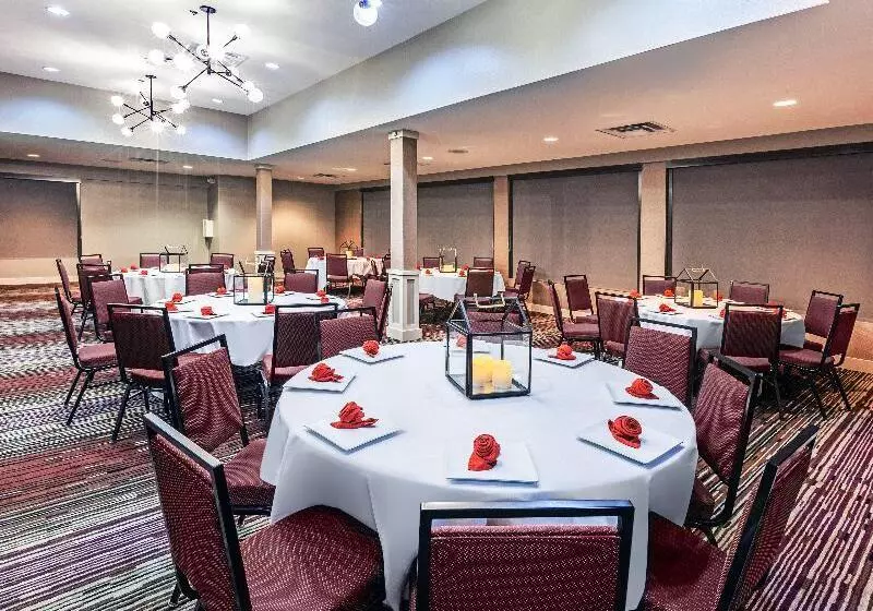 Hotel Holiday Inn Tyler   Conference Center, An Ihg