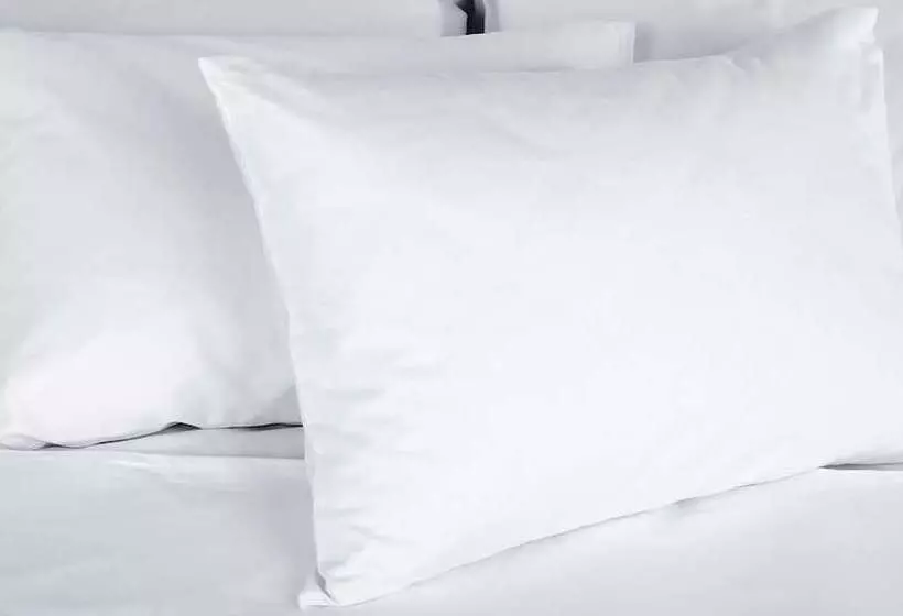 Magnuson Hotel Dixon