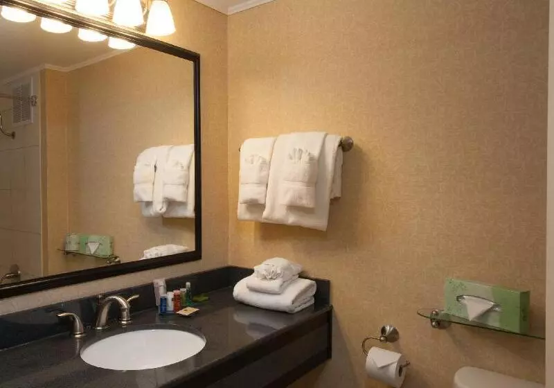 Penn Harris Hotel Harrisburg, Trademark By Wyndham