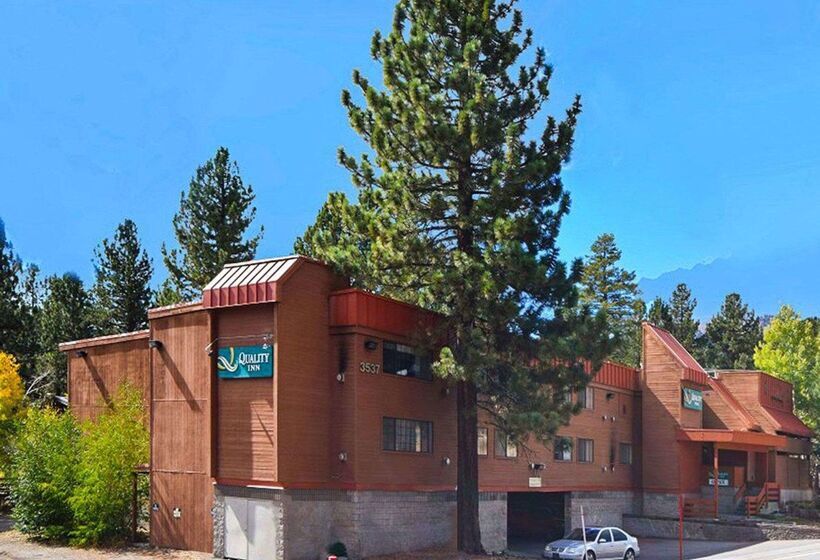 酒店 Quality Inn Near Mammoth Mountain Ski Resort