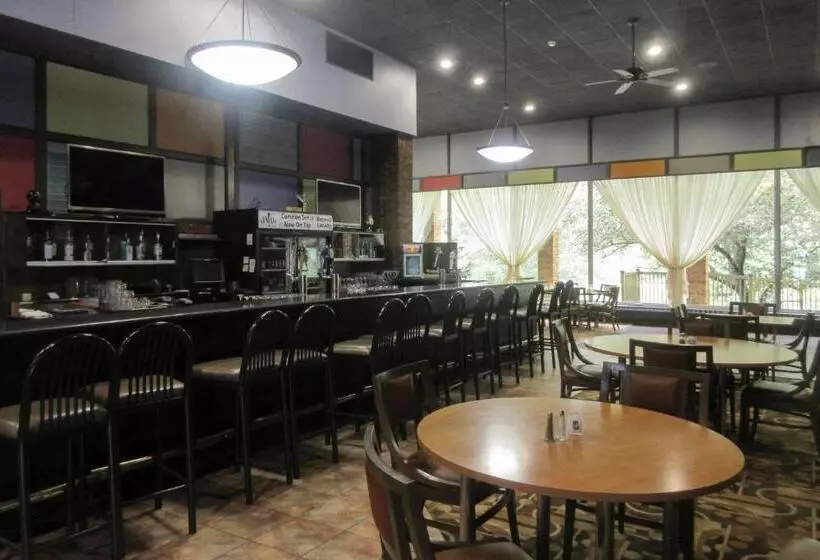 فندق Quality Inn & Suites Owego