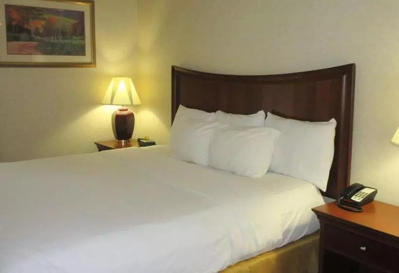 فندق Quality Inn & Suites Owego