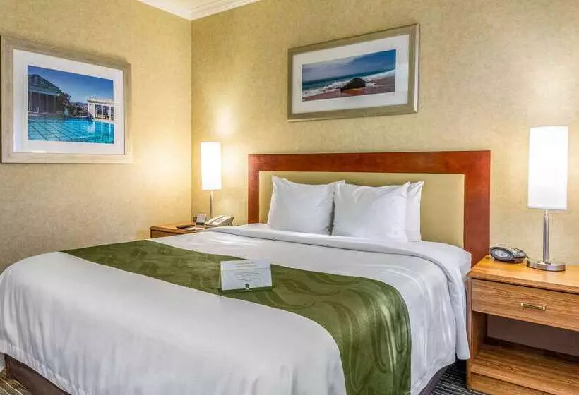 בית מלון כפרי Quality Suites Downtown San Luis Obispo