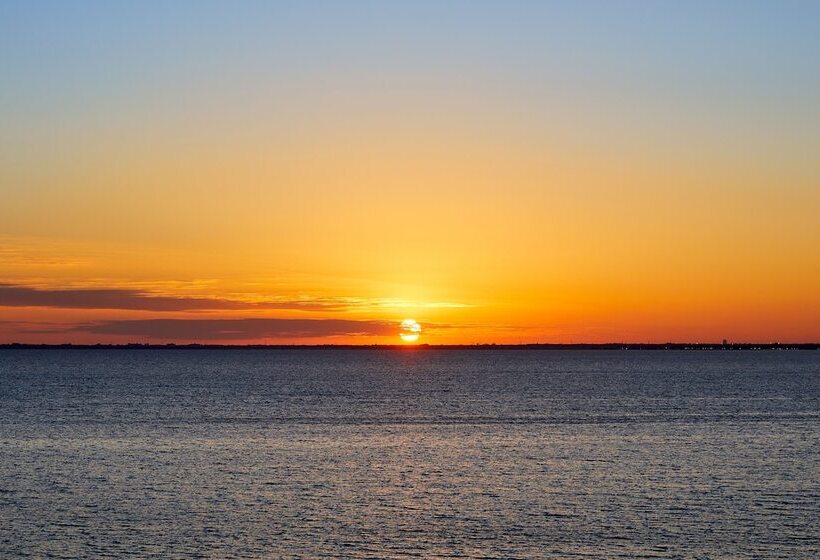 The Godfrey Hotel & Cabanas Tampa