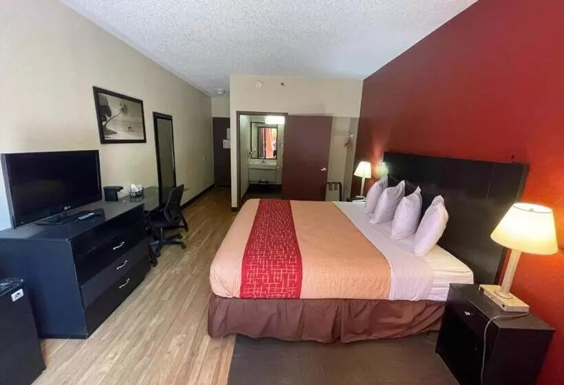 בית מלון כפרי Tropical Palms