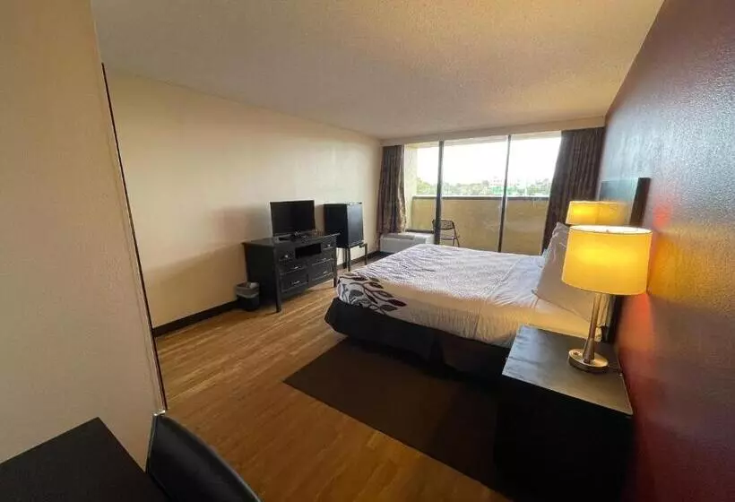 בית מלון כפרי Tropical Palms