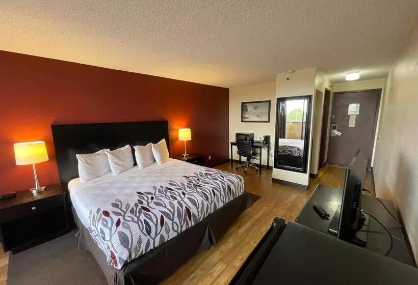 בית מלון כפרי Tropical Palms