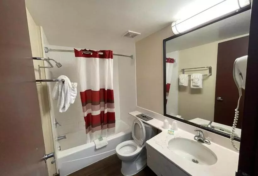 בית מלון כפרי Tropical Palms