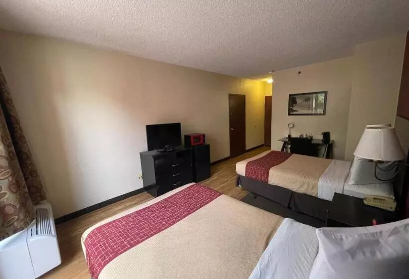 בית מלון כפרי Tropical Palms