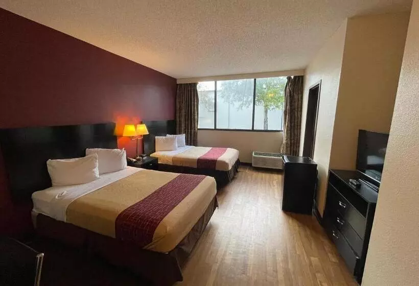 בית מלון כפרי Tropical Palms