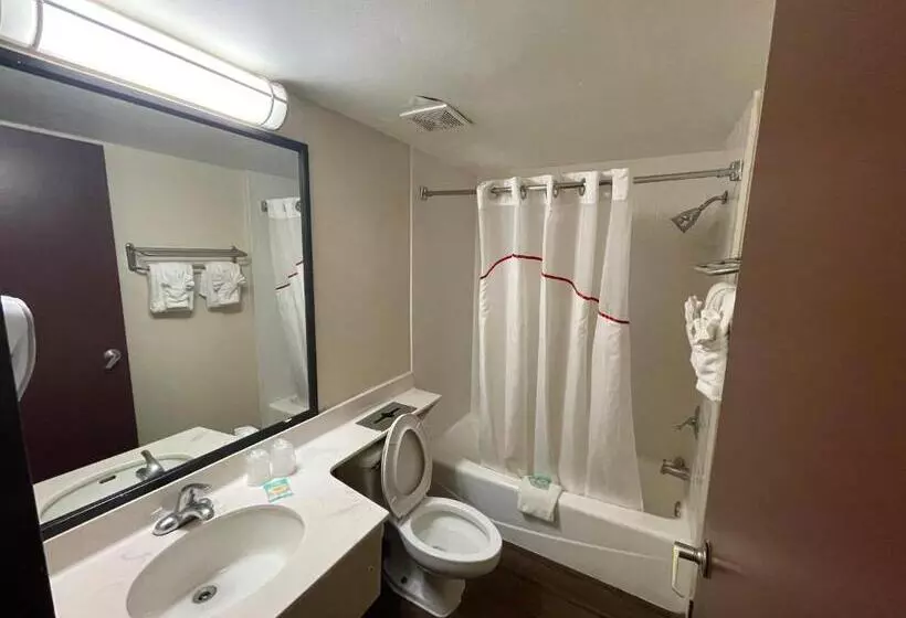 בית מלון כפרי Tropical Palms