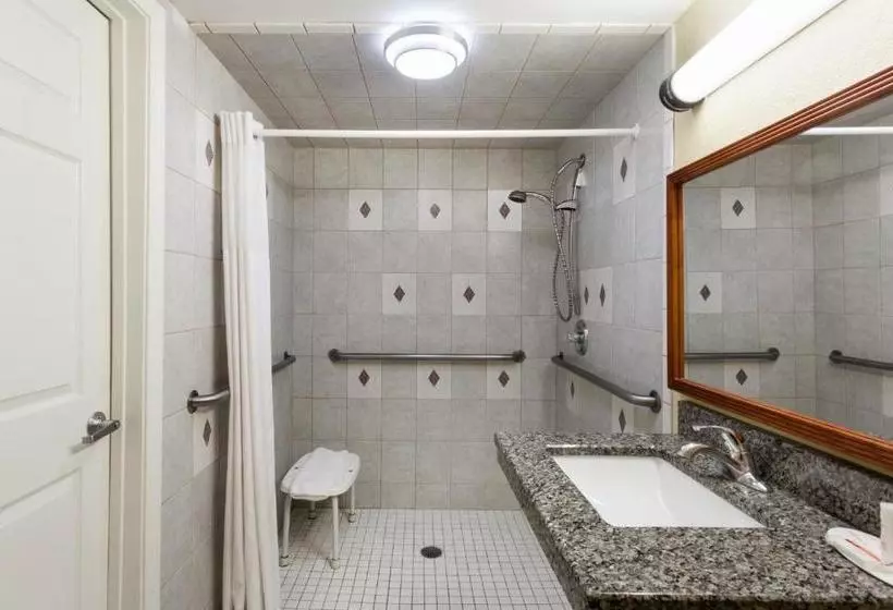 בית מלון כפרי Days Inn By Wyndham Bowling Green