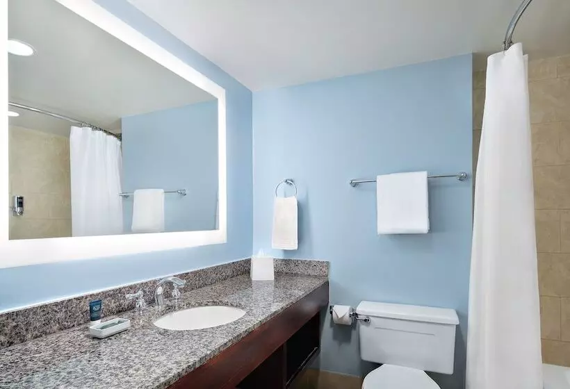 Otel Four Points By Sheraton Richmond Airport