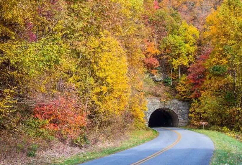 فندق Holiday Inn Asheville Biltmore West, An Ihg