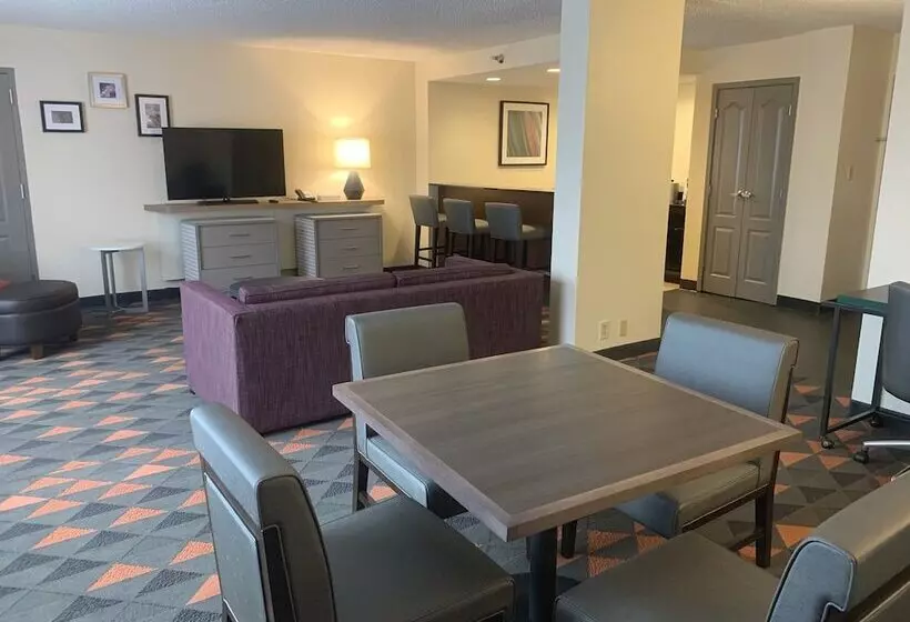 فندق Holiday Inn Asheville Biltmore West, An Ihg