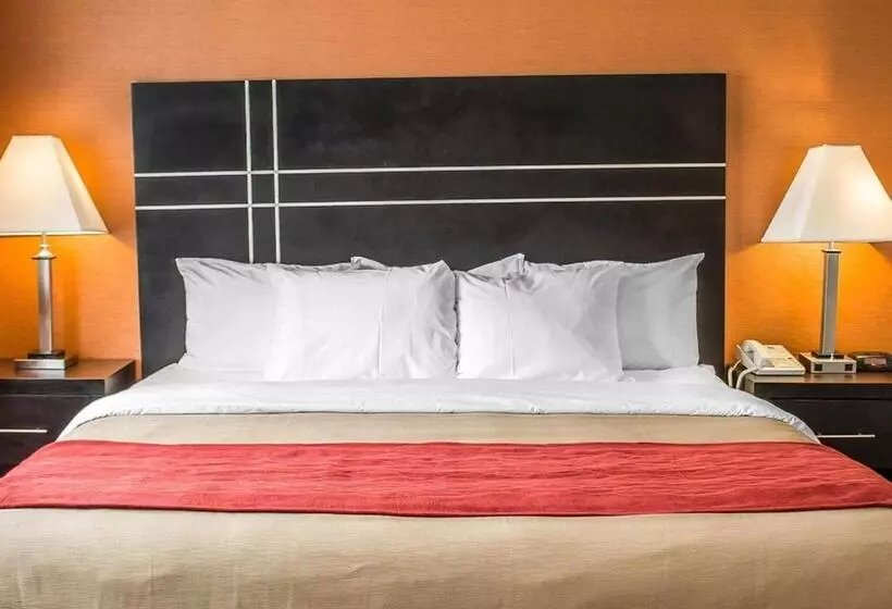 בית מלון כפרי Norwood Inn & Suites North Conference Center