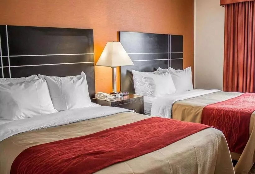 בית מלון כפרי Norwood Inn & Suites North Conference Center