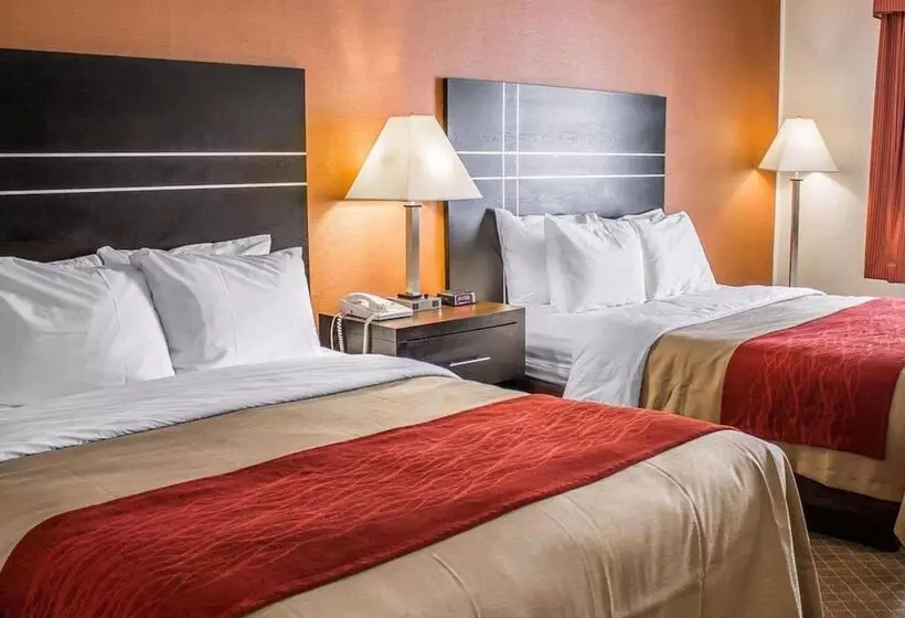 בית מלון כפרי Norwood Inn & Suites North Conference Center