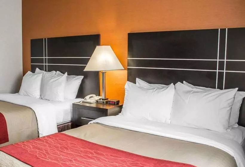 בית מלון כפרי Norwood Inn & Suites North Conference Center