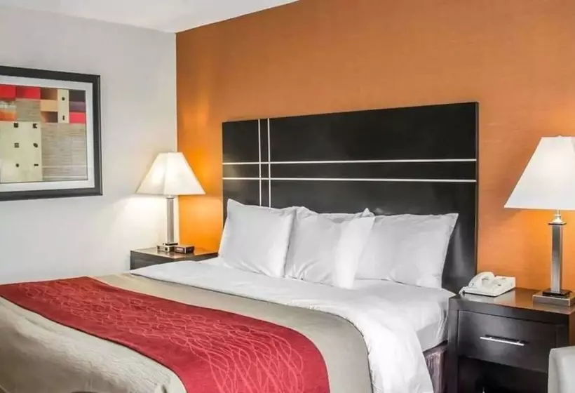 בית מלון כפרי Norwood Inn & Suites North Conference Center