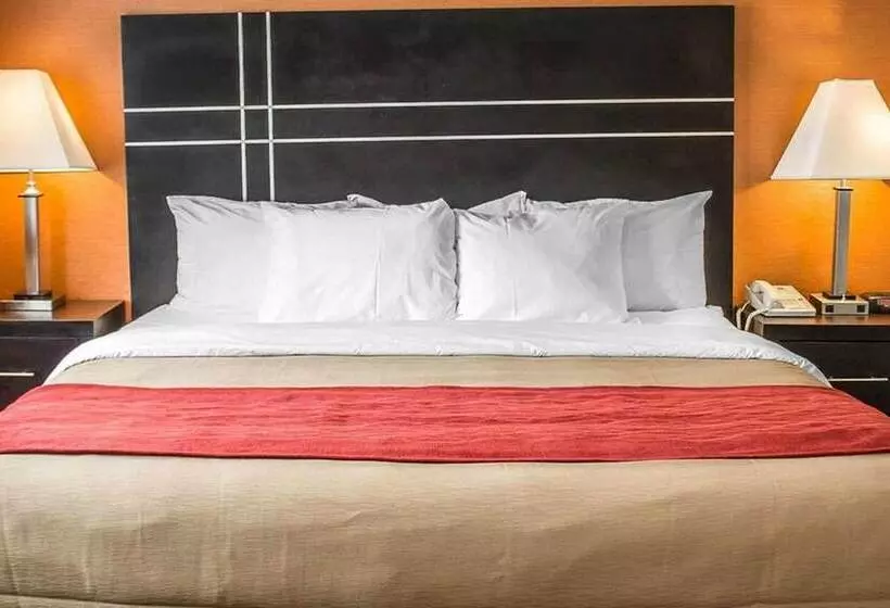 בית מלון כפרי Norwood Inn & Suites North Conference Center