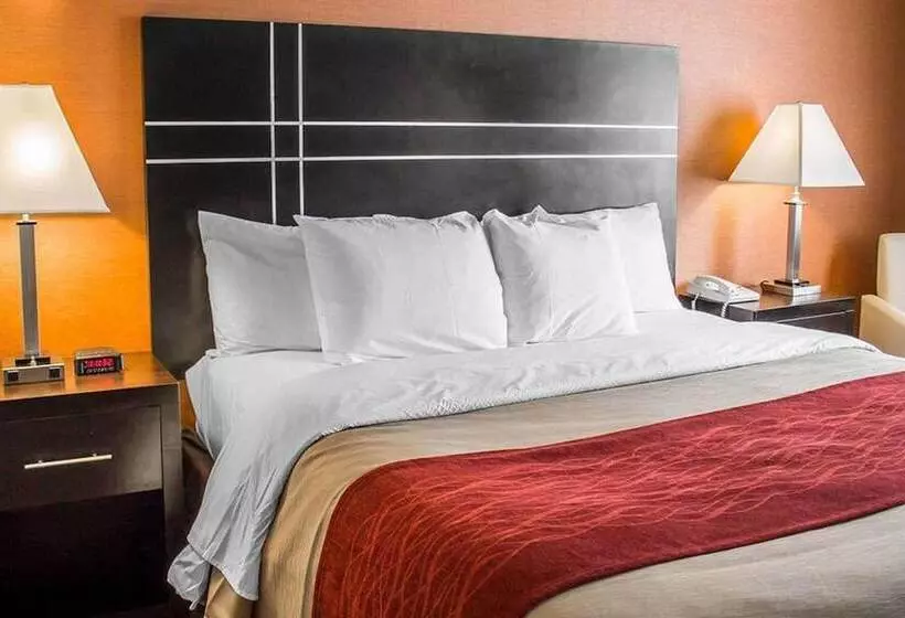 בית מלון כפרי Norwood Inn & Suites North Conference Center