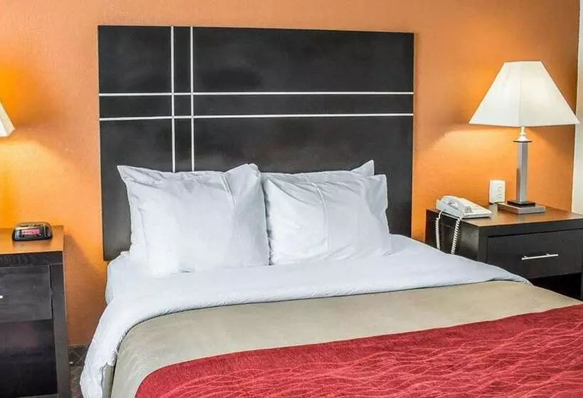 בית מלון כפרי Norwood Inn & Suites North Conference Center