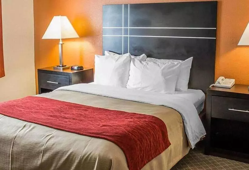 בית מלון כפרי Norwood Inn & Suites North Conference Center