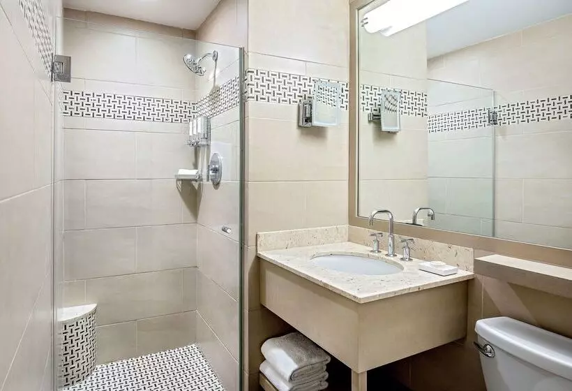 בית מלון כפרי The Royal Sonesta Boston