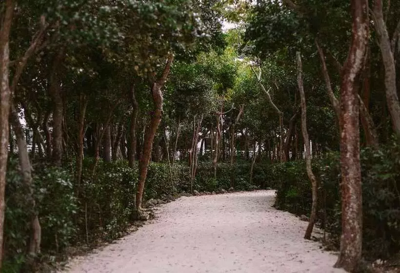 Baker S Cay Resort Key Largo, Curio Collection By Hilton