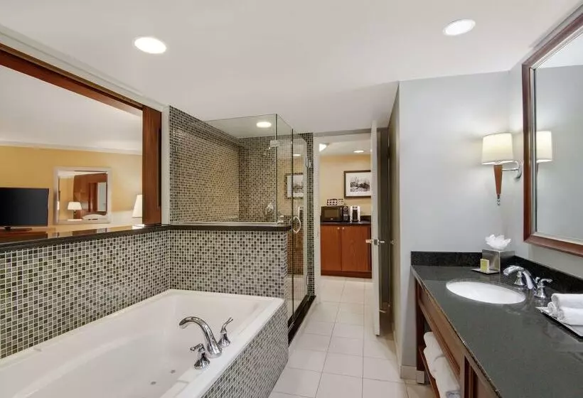 Hilton Stamford Hotel & Executive Meeting Center