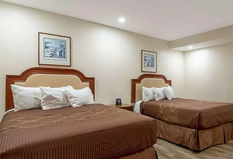 Отель The Berry Inn