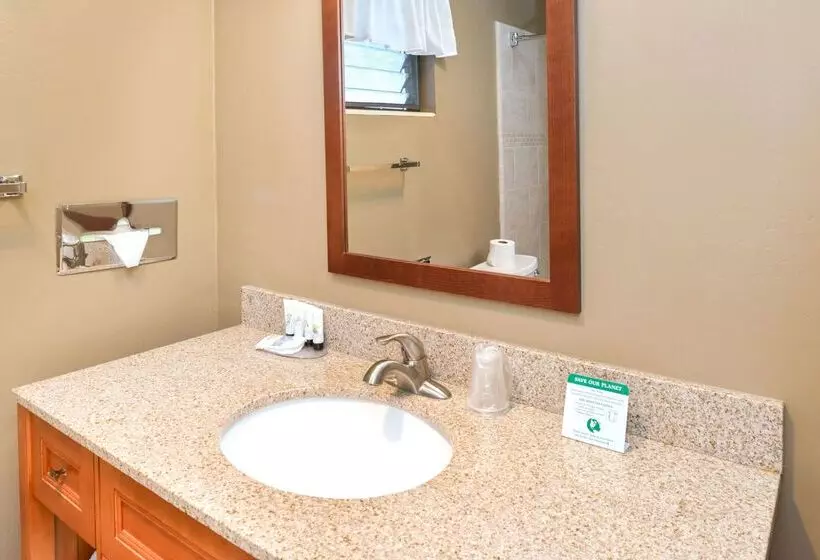 בית מלון כפרי Svendsgaard S Lodge  Americas Best Value Inn & Suites