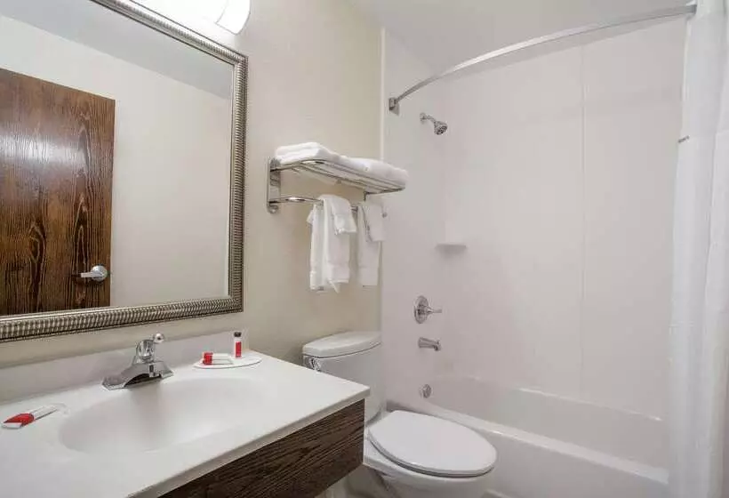 汽车旅馆  Super 8 By Wyndham College Park Wash Dc Area