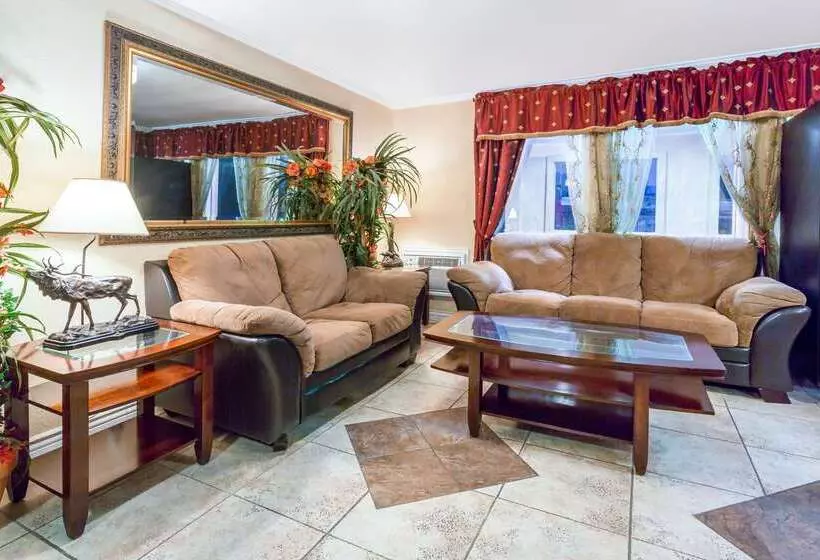 モーテル Super 8 By Wyndham Colorado Springs/chestnut Street