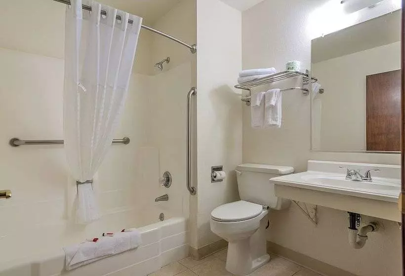 モーテル Super 8 By Wyndham Colorado Springs/chestnut Street