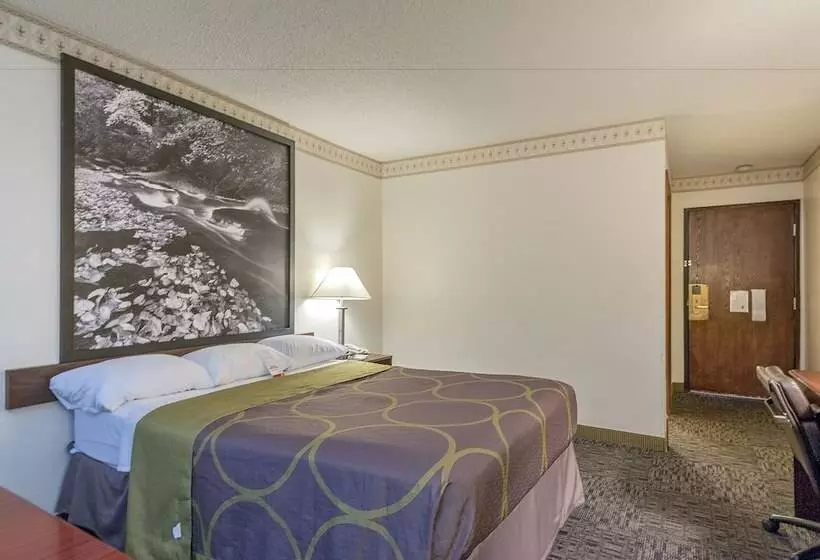 モーテル Super 8 By Wyndham Colorado Springs/chestnut Street