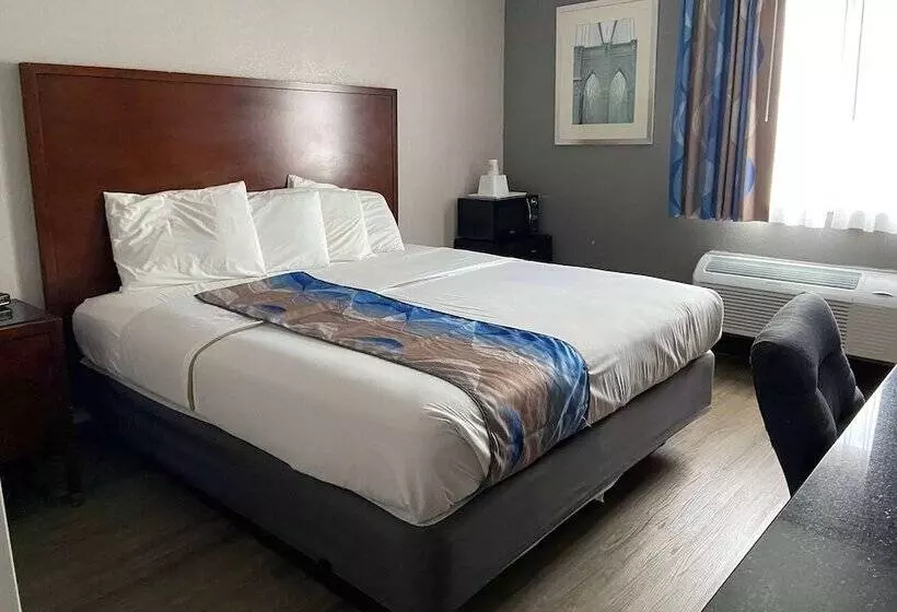 Travelodge Inn & Suites By Wyndham Albany