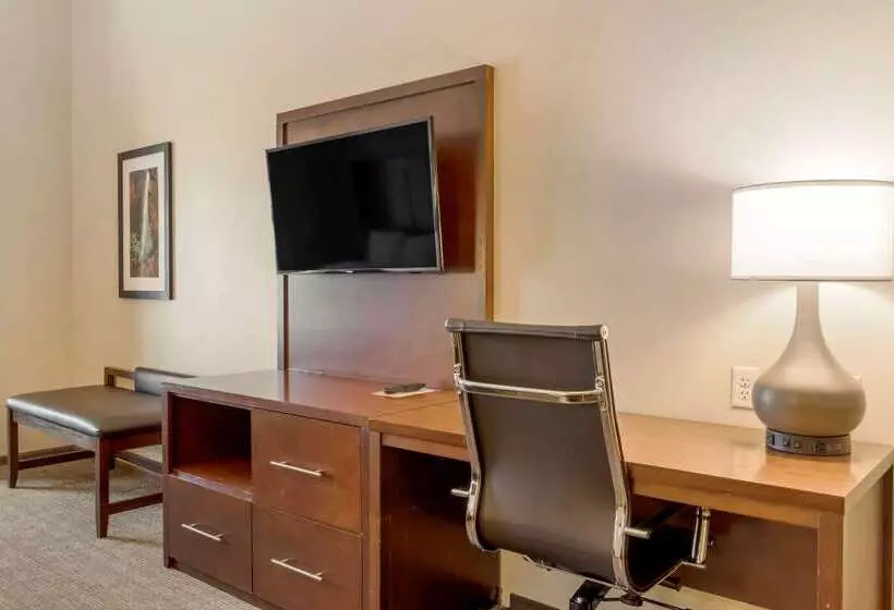 Otel Comfort Suites St George  University Area