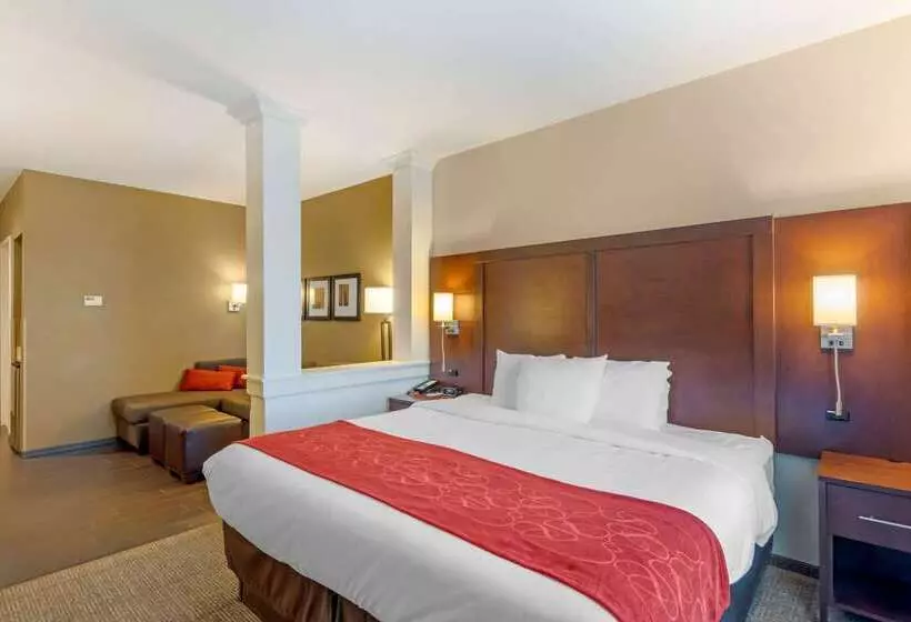 Otel Comfort Suites St George  University Area