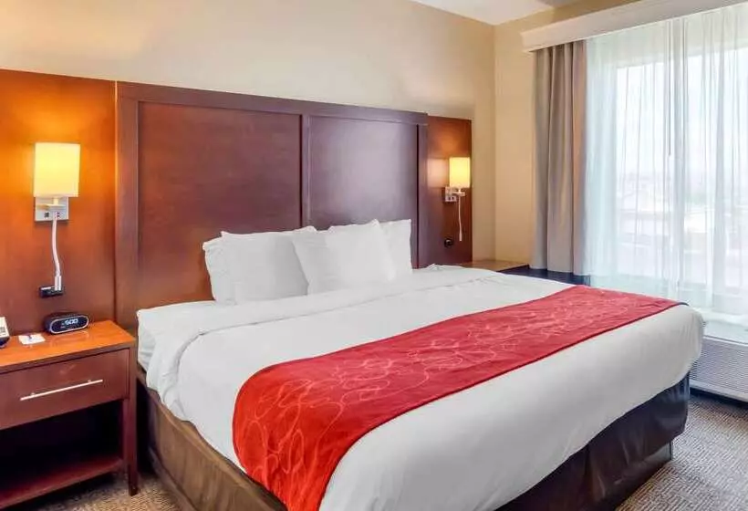 Otel Comfort Suites St George  University Area
