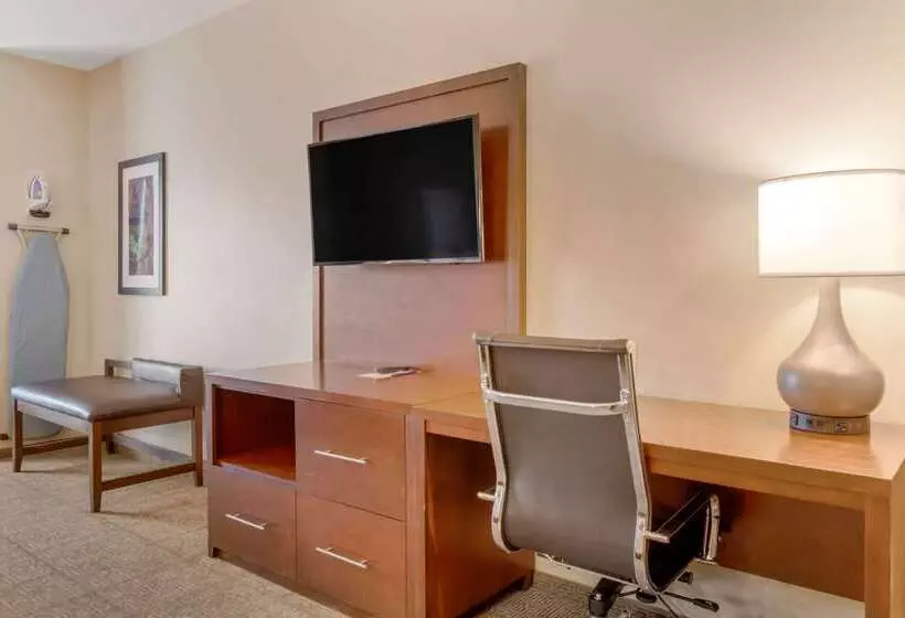 Otel Comfort Suites St George  University Area