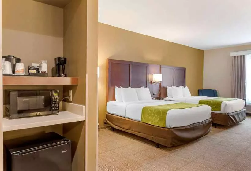 Otel Comfort Suites St George  University Area