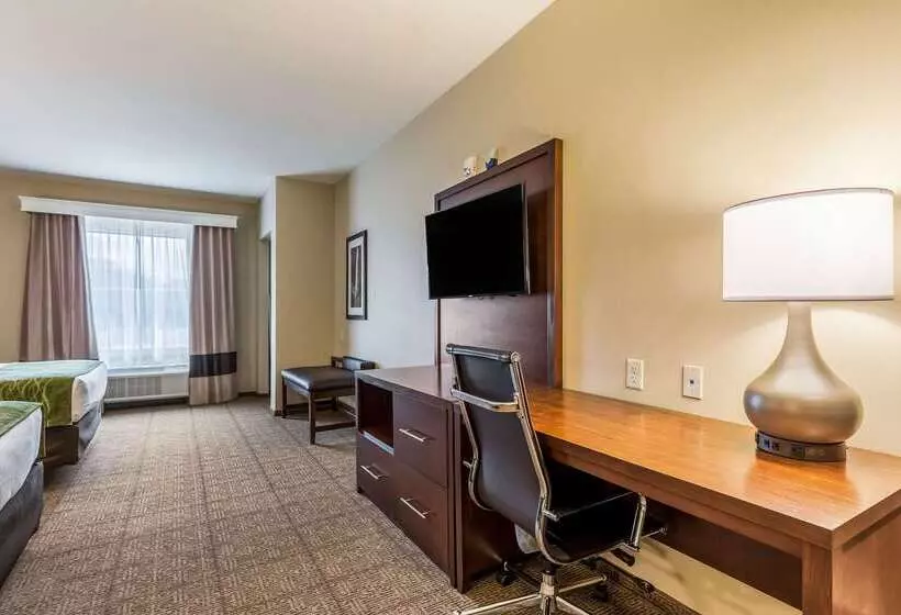 Otel Comfort Suites St George  University Area