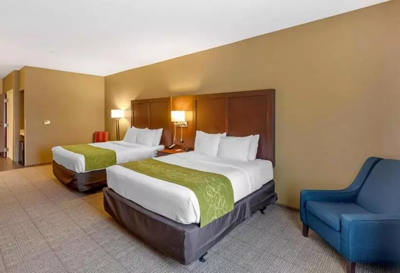 Otel Comfort Suites St George  University Area